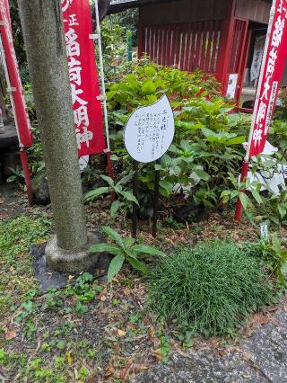 二之社(八重垣稲荷神社)の参拝記録(はくすみさん)