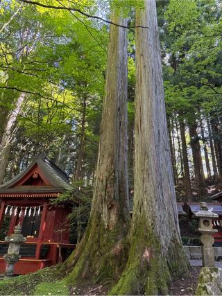 東照宮(三峯神社摂社)の参拝記録(⛩️🎠🐢まめ🐢🎠⛩️さん)