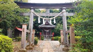 唐木田稲荷神社の参拝記録(miyumikoさん)