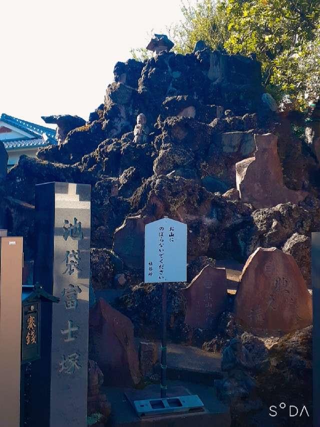 池袋富士塚（氷川神社境内）の参拝記録(三毛猫さん)