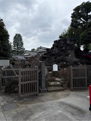 池袋富士塚（氷川神社境内）の参拝記録(⛩️🐍🐢まめ🐢🐍⛩️さん)