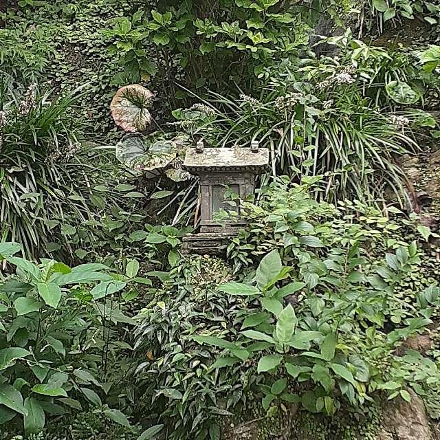 神奈川県藤沢市江の島2-3 石祠（無熱池と蟇石）の写真1