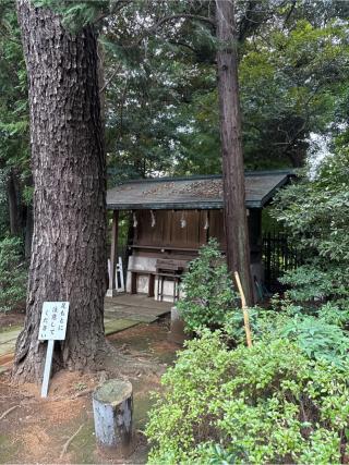 天満宮・八幡神社（玉川神社境内社）の参拝記録(⛩️🐍🐢まめ🐢🐍⛩️さん)