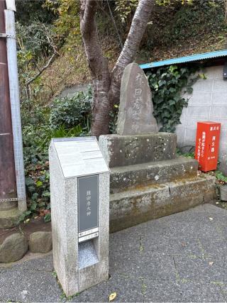 猿田彦大神庚申塔の参拝記録(⛩️🎠🐢まめ🐢🎠⛩️さん)