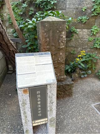 群猿奉賽像庚申塔の参拝記録(⛩️🐍🐢まめ🐢🐍⛩️さん)