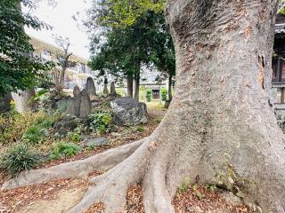 古峯神社(稲荷神社境内社)の参拝記録(shikigami_hさん)