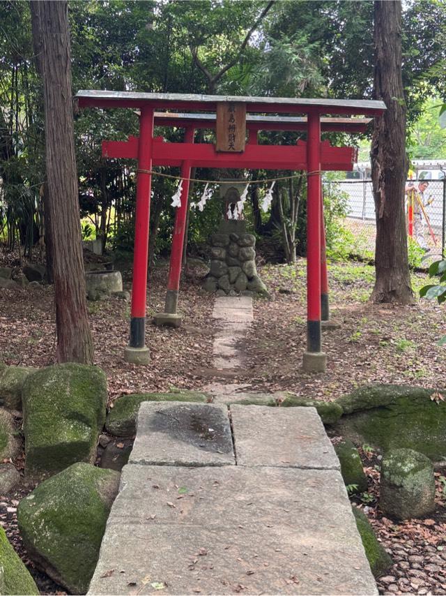 厳島弁財天(富士浅間神社境内社)の参拝記録1