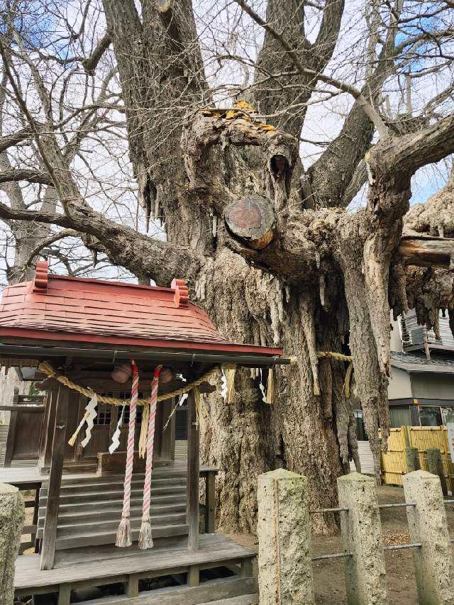 姥神神社の参拝記録1