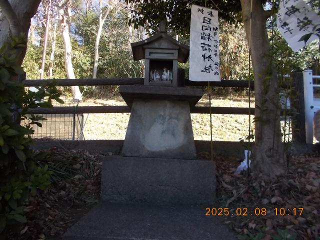 埼玉県所沢市下安松479-3 日向稲荷神社の写真2