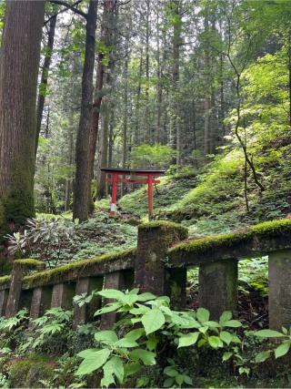 秋葉神社（榛名神社）の参拝記録(⛩️🐍🐢まめ🐢🐍⛩️さん)