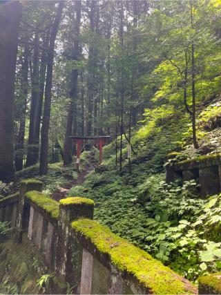 秋葉神社（榛名神社）の参拝記録(⛩️🐍🐢まめ🐢🐍⛩️さん)