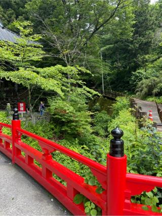 随神門（榛名神社）の参拝記録(⛩️🐍🐢まめ🐢🐍⛩️さん)