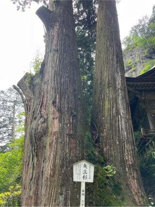 神幸殿（榛名神社）の参拝記録(⛩️🐍🐢まめ🐢🐍⛩️さん)