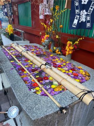 神田明神 隨神門の参拝記録(⛩️🐉🐢まめ🐢🐉⛩️さん)