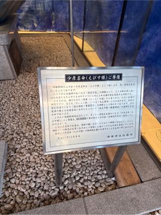 少彦名命尊像（えびす様）の参拝記録(⛩️🎠🐢まめ🐢🎠⛩️さん)