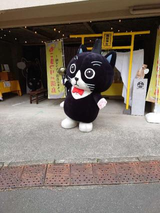 猫祭神社（イベント時のみ出現）の参拝記録(いおしゃちさん)