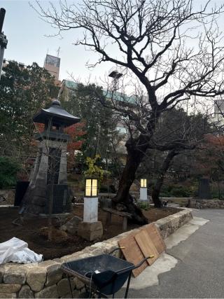 石祠の参拝記録(⛩️🐍🐢まめ🐢🐍⛩️さん)