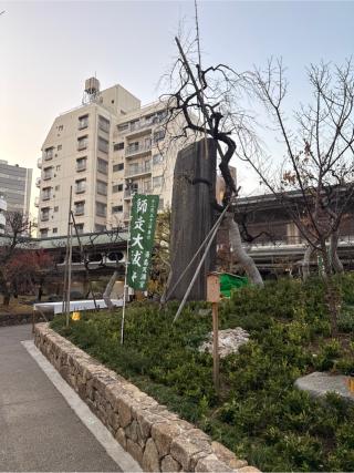 石祠の参拝記録(⛩️🐍🐢まめ🐢🐍⛩️さん)