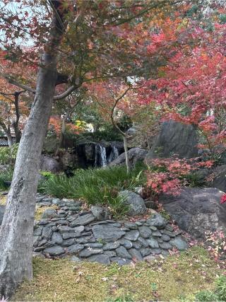 湯島天満宮 唐門の参拝記録(⛩️🐍🐢まめ🐢🐍⛩️さん)