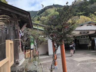 根之元神社の参拝記録(SFUKUさん)