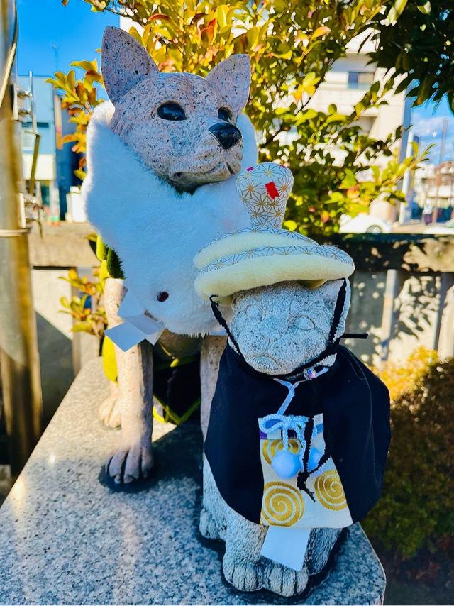 こま犬さん・こま猫さん（今泉八坂神社境内)の参拝記録3