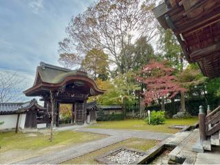 戒光山 西教寺 唐門の参拝記録(qo_opさん)