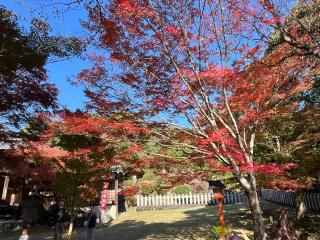 寂光院 不動堂の参拝記録(あまぞんさん)