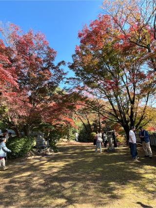 寂光院 不動堂の参拝記録(あまぞんさん)