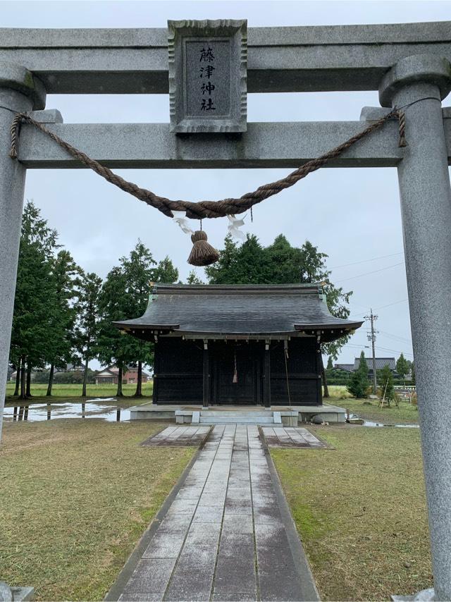 富山県砺波市苗加213-6 藤津神社の写真1