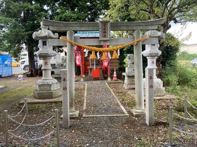 群馬県館林市近藤町２−１０１ 菅原神社の写真1