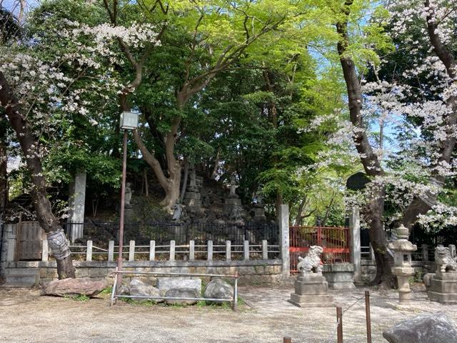 瀧泉寺 八大童子の山(目黒不動尊)の参拝記録1