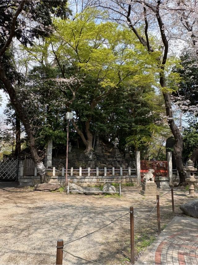 瀧泉寺 八大童子の山(目黒不動尊)の参拝記録1