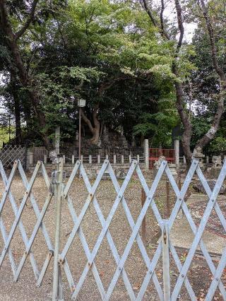 瀧泉寺 八大童子の山(目黒不動尊)の参拝記録(はくすみさん)