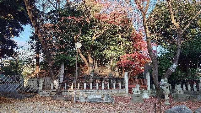 瀧泉寺 八大童子の山(目黒不動尊)の参拝記録3