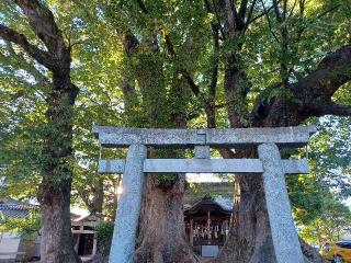 新明社荒神社合殿（狐島神社）の参拝記録(銀玉鉄砲さん)