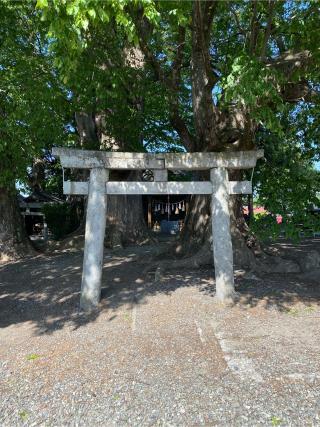 新明社荒神社合殿（狐島神社）の参拝記録(二代目無宿さん)