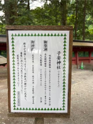 子安神社(日光二荒山神社)の参拝記録(⛩️🐉🐢まめ🐢🐉⛩️さん)