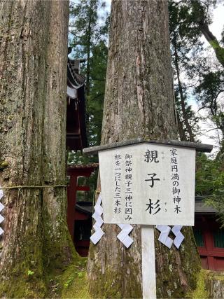 子安神社(日光二荒山神社)の参拝記録(⛩️🐉🐢まめ🐢🐉⛩️さん)