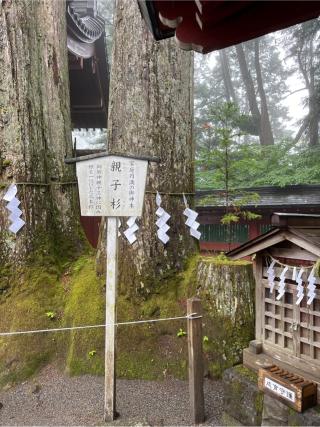 子安神社(日光二荒山神社境内社)の参拝記録(⛩️🐍🐢まめ🐢🐍⛩️さん)