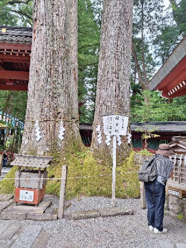 子安神社(日光二荒山神社境内社)の参拝記録4