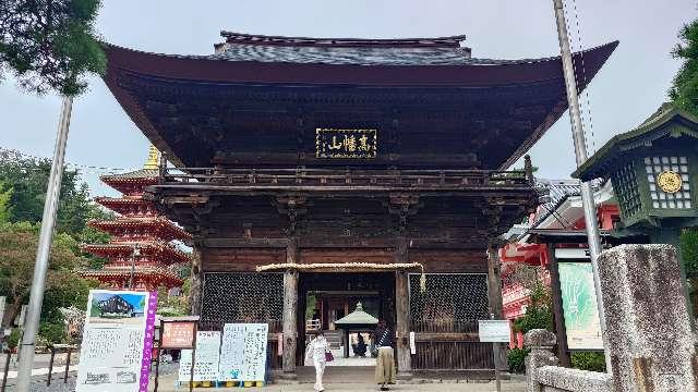 高幡山金剛寺 仁王門の参拝記録2