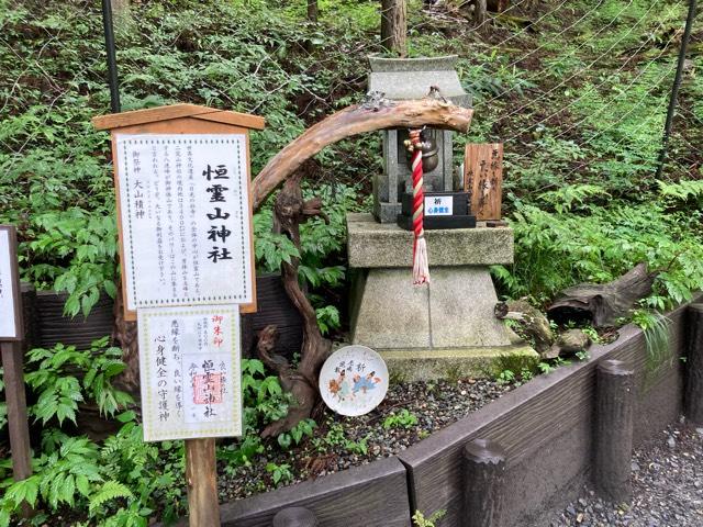 恒霊山神社(日光二荒山神社)の参拝記録6