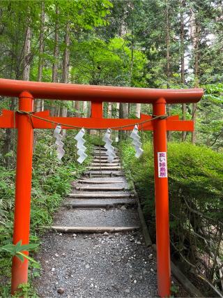 恒霊山神社(日光二荒山神社)の参拝記録(⛩️🐍🐢まめ🐢🐍⛩️さん)