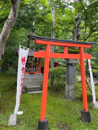 豊川吒枳尼眞天の参拝記録(⛩️🎠🐢まめ🐢🎠⛩️さん)