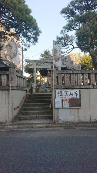 道祖神社の参拝記録(きのこさん)