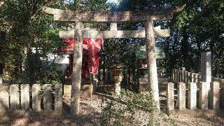 稲荷神社(忌部神社)の参拝記録(ロビンさん)