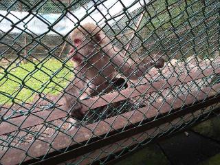 神社の参拝記録(yukiさん)