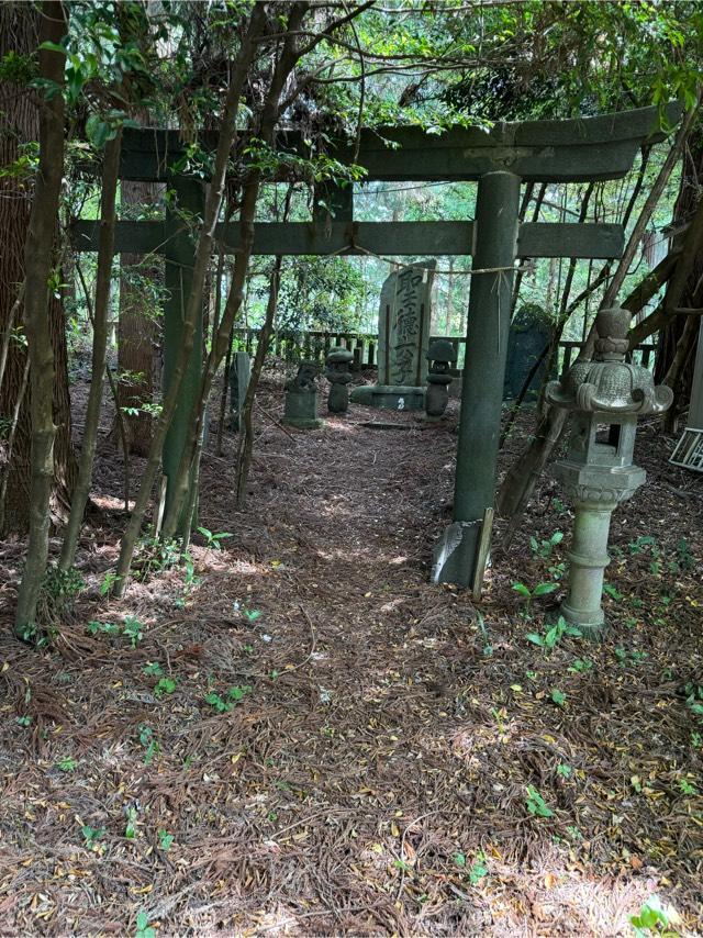 聖徳皇太子(今市瀧尾神社)の参拝記録(こーちんさん)