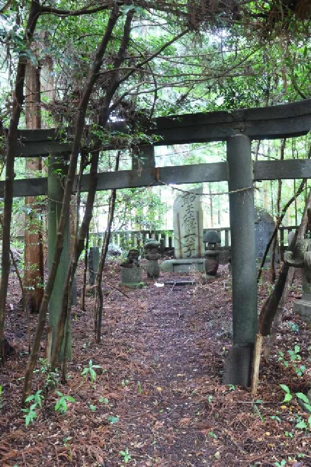 聖徳皇太子(今市瀧尾神社)の参拝記録(やまちーさん)