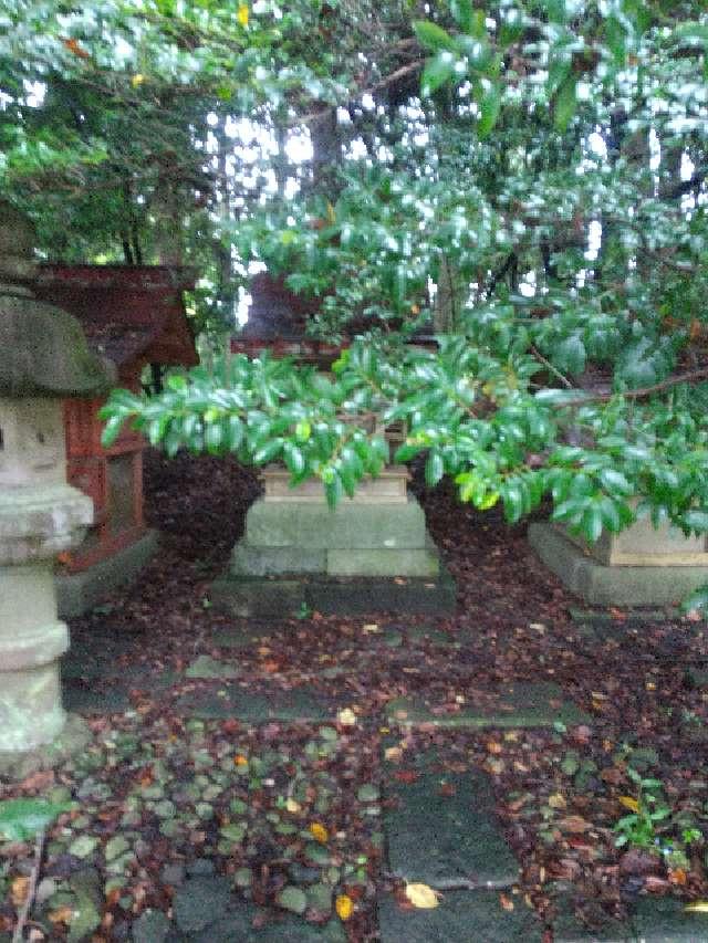 栃木県日光市今市531 琴平神社・八坂神社(今市瀧尾神社)の写真2